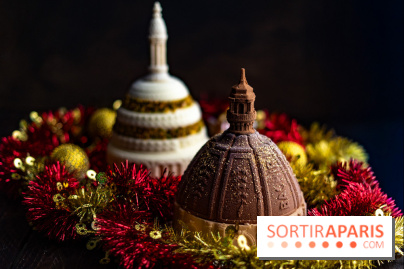 Les bûches de Noël glacées de Bachir spécial dômes parisiens  - A7C03412