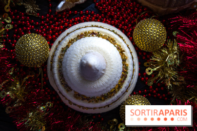 Les bûches de Noël glacées de Bachir spécial dômes parisiens  - A7C03428