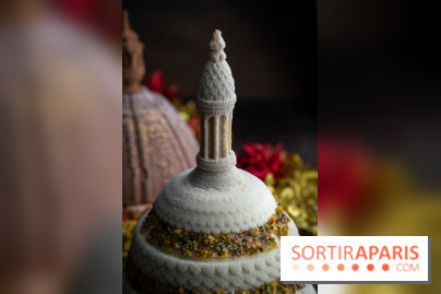 Les bûches de Noël glacées de Bachir spécial dômes parisiens  - A7C03432