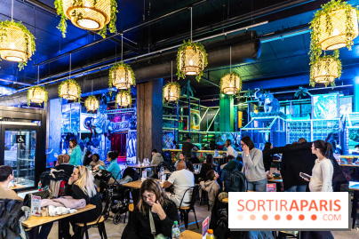 You Kids, le nouveau parc de loisirs indoor des Yvelines à Sky Ouest - photos - A7C03525