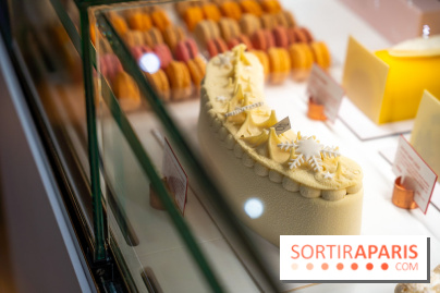 La galette des rois 2026 de la Pâtisserie Fine à Versailles dans les Yvelines - A7C03678