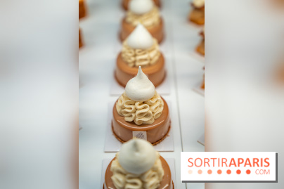 La galette des rois 2026 de la Pâtisserie Fine à Versailles dans les Yvelines - A7C03691