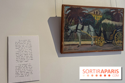 Claude Simon au Musée Lambinet : nos photos de l'exposition à Versailles - IMG 2891