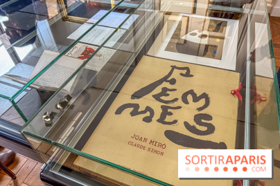 Claude Simon au Musée Lambinet : nos photos de l'exposition à Versailles - IMG 2919