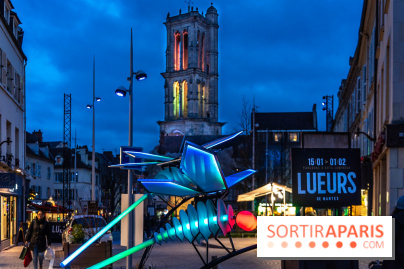 Lueurs de Mantes 2026, les photos du parcours lumineux gratuit des Yvelines