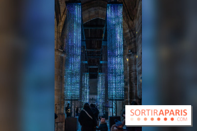 Lueurs de Mantes 2026, les photos du parcours lumineux gratuit des Yvelines