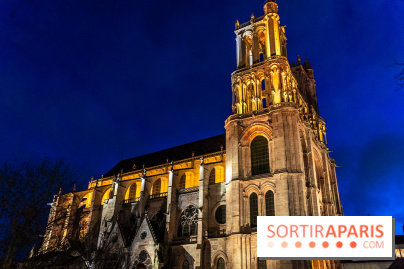 Lueurs de Mantes 2026, les photos du parcours lumineux gratuit des Yvelines