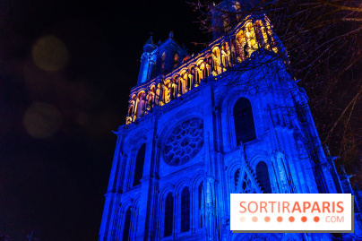 Lueurs de Mantes 2026, les photos du parcours lumineux gratuit des Yvelines