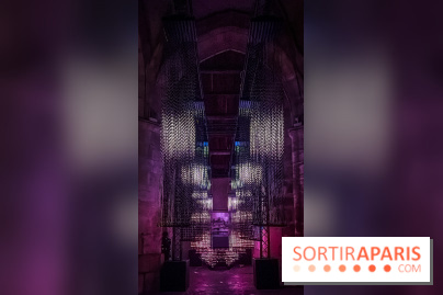 Lueurs de Mantes 2026, les photos du parcours lumineux gratuit des Yvelines