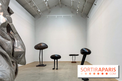 Erwin Wurm - Tomorrow yes : l'exposition gratuite à la galerie Thaddaeus Ropac, à Pantin (93) - IMG 9179