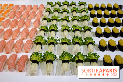 I love Sushi, nos photos de l'exposition à la Maison de la culture du Japon