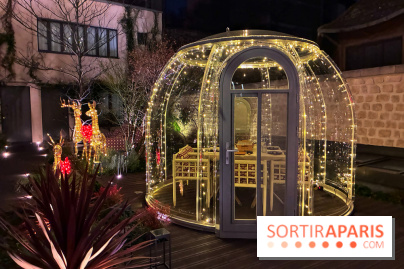 Les Bulles du Quinzerie - IMG 2375