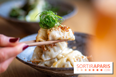 Vesper, le restaurant japonais Paris 7e, façon izakaya - A7C04095