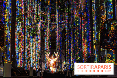 L'Odyssée Céleste à l'église Saint-Eustache à Paris, le nouveau spectacle Luminiscence 