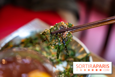 Hallyu Kitchen, le nouveau restaurant coréen Paris 9e - photos