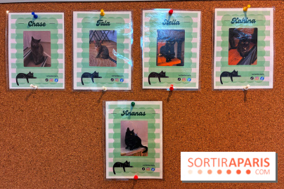 Le Chatelier  - IMG 2472