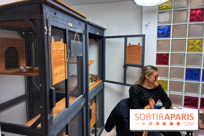 Le Chatelier  - IMG 2475