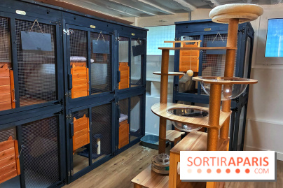 Le Chatelier  - IMG 2476