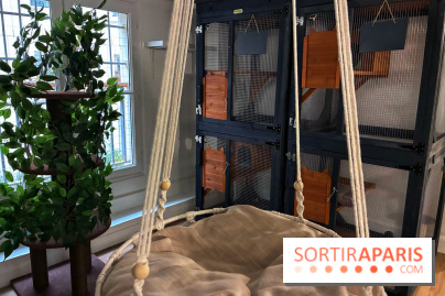 Le Chatelier  - IMG 2483