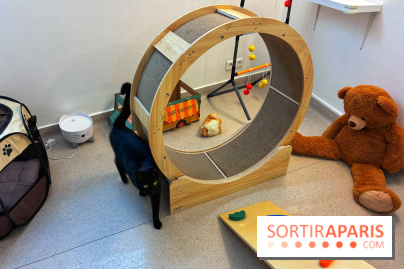 Le Chatelier  - IMG 2484