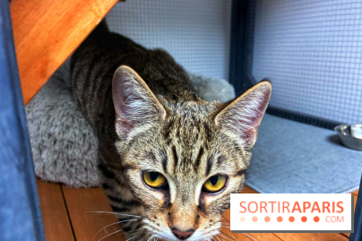 Le Chatelier  - IMG 2495