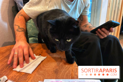 Le Chatelier  - IMG 2498