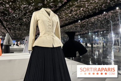 Scénographie du Défilé Dior Haute Couture au Musée Rodin Janvier 2026 - IMG 7135