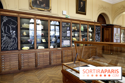 Codex on the Rocks, nos photos de l'expo au Musée de Minéralogie à Paris