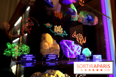 Codex on the Rocks, nos photos de l'expo au Musée de Minéralogie à Paris