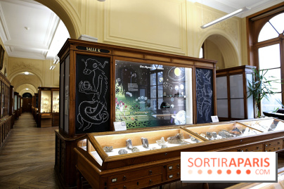 Codex on the Rocks, nos photos de l'expo au Musée de Minéralogie à Paris