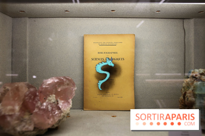 Codex on the Rocks, nos photos de l'expo au Musée de Minéralogie à Paris