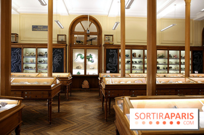 Codex on the Rocks, nos photos de l'expo au Musée de Minéralogie à Paris