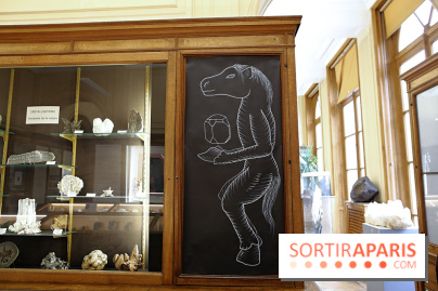 Codex on the Rocks, nos photos de l'expo au Musée de Minéralogie à Paris