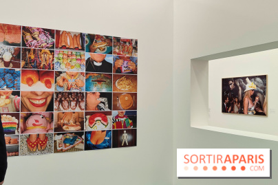 Global Warning : le photographe Martin Parr à l'honneur dans une exposition au Jeu de Paume - fotor 1769689781919