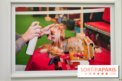 Global Warning : le photographe Martin Parr à l'honneur dans une exposition au Jeu de Paume