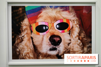 Global Warning : le photographe Martin Parr à l'honneur dans une exposition au Jeu de Paume - fotor 1769689947675