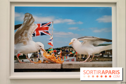 Global Warning : le photographe Martin Parr à l'honneur dans une exposition au Jeu de Paume - fotor 1769689992897