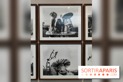 En ces lieux : la photographe contemporaine Jo Ractliffe expose au Jeu de Paume, nos images - fotor 1769690187588