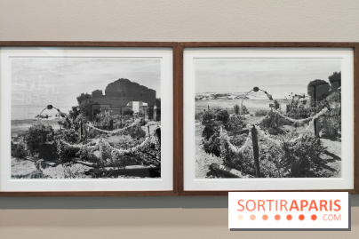 En ces lieux : la photographe contemporaine Jo Ractliffe expose au Jeu de Paume, nos images - fotor 1769690202910