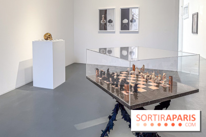 Exposition Un Siècle d'Echecs à la Galerie Perrotin - IMG 3416