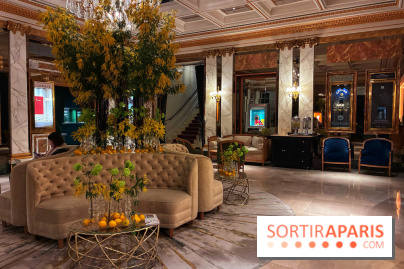 Le Céladon - IMG 2664