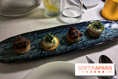 Le Céladon - IMG 2679