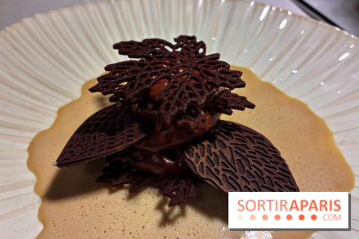 Le Céladon - IMG 2708