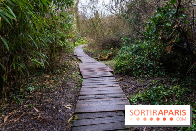 La source de l'Yvette : une statue mystérieuse dans les Yvelines - A7C05601