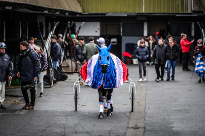 Carnavals de France à l’Hippodrome Paris-Vincennes : défilés, courses et Miss France 2026 - BV 20250209150121BV  4950