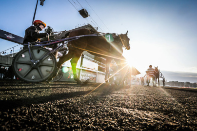 Carnavals de France à l’Hippodrome Paris-Vincennes : défilés, courses et Miss France 2026 - BVdV 2023 0212162607BV1 5460