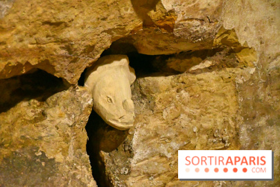 Les Caves du Roi, les mystérieux souterrains sous Sèvres - DSC 6266