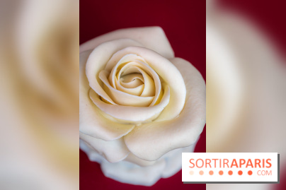 Saint-Valentin 2026 : la boulangerie - chocolaterie Pleincœur célèbre le mois de l'amour - A7C06050