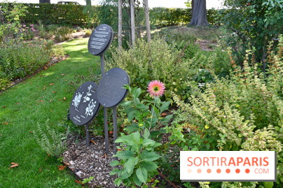 Le jardin des cinq sens à Pontoise, un lieu bucolique et sensoriel !