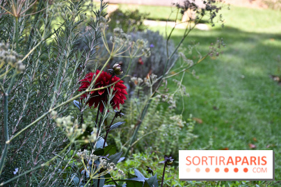 Le jardin des cinq sens à Pontoise, un lieu bucolique et sensoriel !